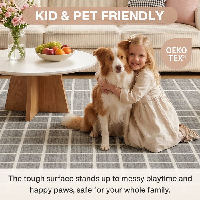 Tribesigns Modern Checked Rug, Washable Checkered Rug, Soft and Non-Slip for the Living Room, OEKO-TEX Certified