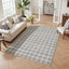 Tribesigns Modern Checked Rug, Washable Checkered Rug, Soft and Non-Slip for the Living Room, OEKO-TEX Certified