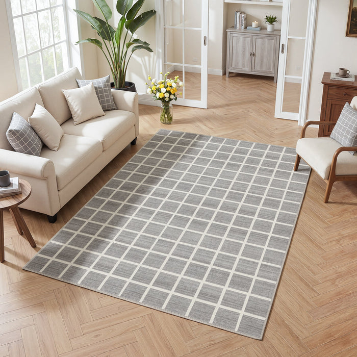 Tribesigns Modern Checked Rug, Washable Checkered Rug, Soft and Non-Slip for the Living Room, OEKO-TEX Certified