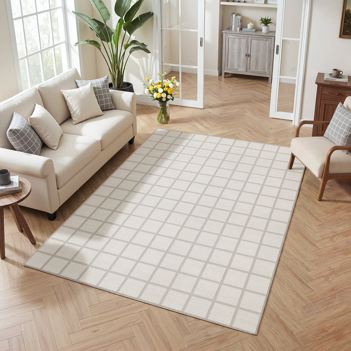 Tribesigns Modern Checked Rug, Washable Checkered Rug, Soft and Non-Slip for the Living Room, OEKO-TEX Certified