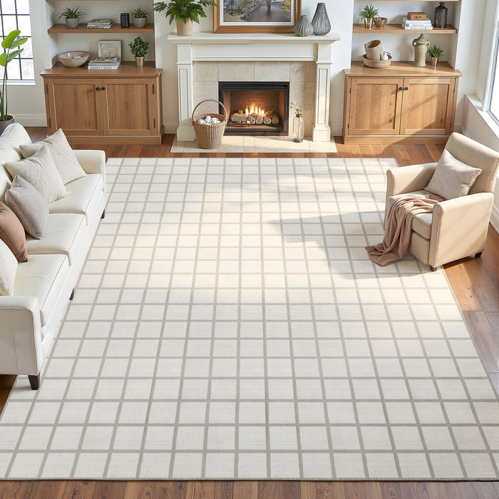 Tribesigns Modern Checked Rug, Washable Checkered Rug, Soft and Non-Slip for the Living Room, OEKO-TEX Certified
