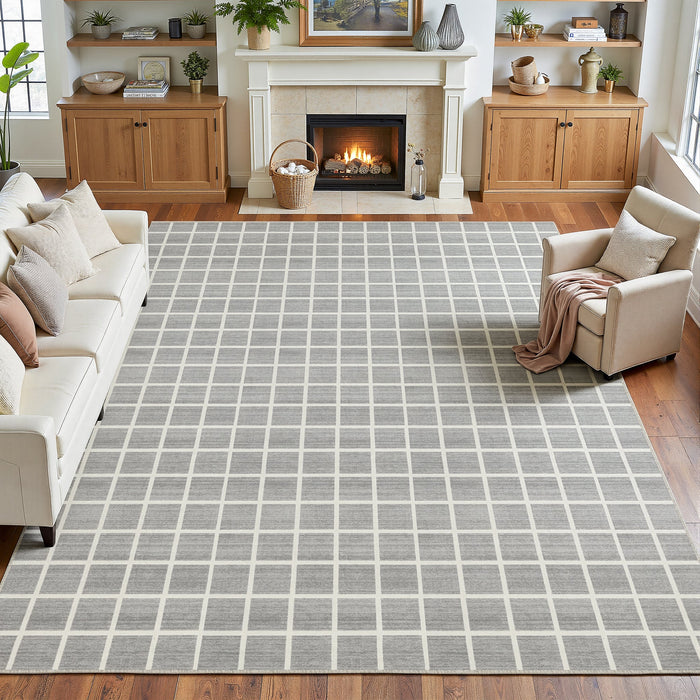 Tribesigns Modern Checked Rug, Washable Checkered Rug, Soft and Non-Slip for the Living Room, OEKO-TEX Certified